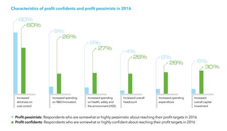 13DNVGL Characteristics of profit confidents and pessimists