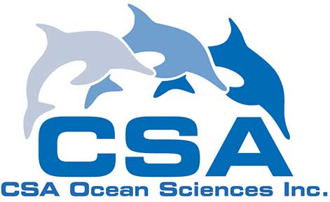 1 CSA new Logo