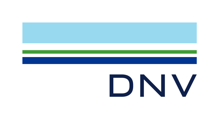 DNV Logo 1