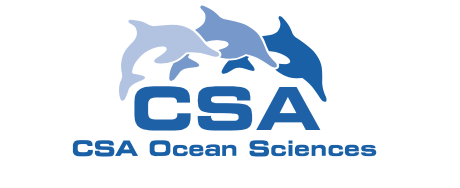 CSA logo 1