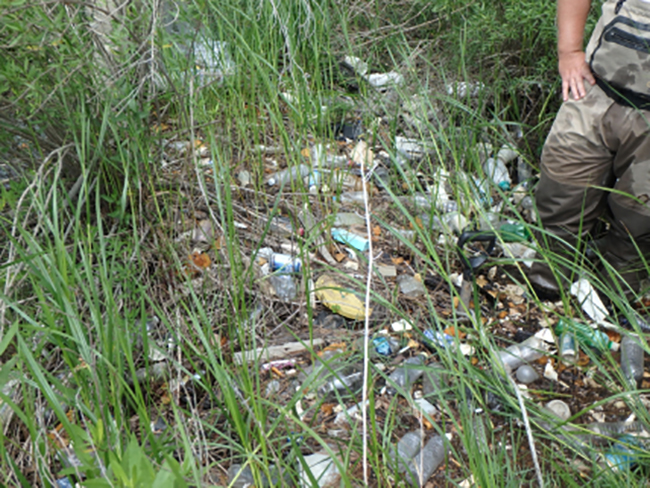 2 Plastic debris litters marsh Alabama Dauphin Island Sea Lab NOAA 1