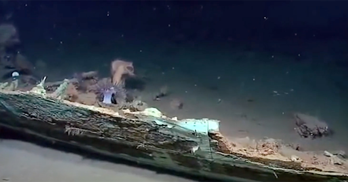 BOEM Releases Series of Videos Exploring Shipwrecks in the Gulf of Mexico