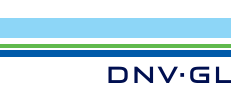 13dnvgllogo large