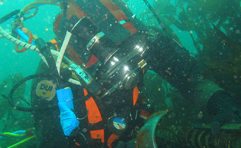 1Diver inspecting EMEC cables Credit EMEC METC 008