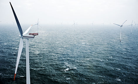 wind Ramboll