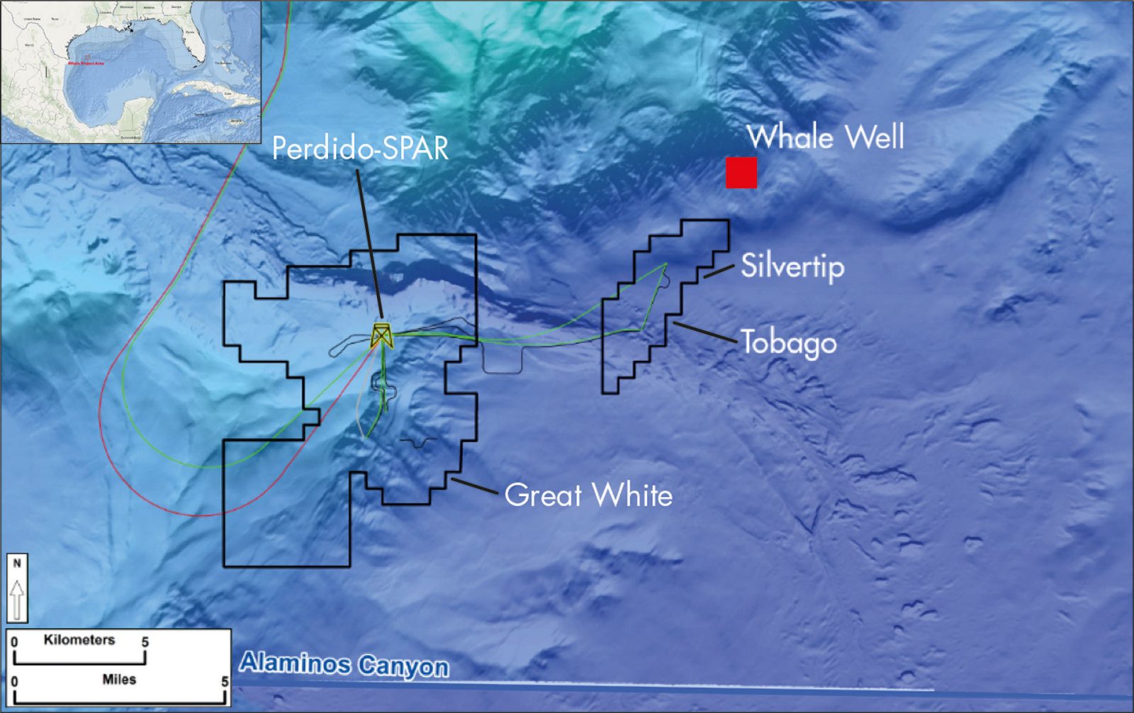 whale map gulf of mexico 