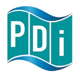 pdi logo dns