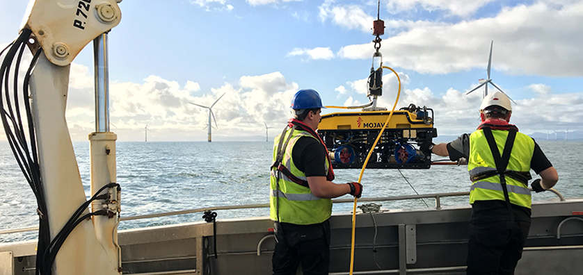 Windfarm ROV Survey