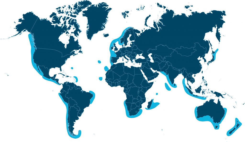 World wave resource map 1024x595