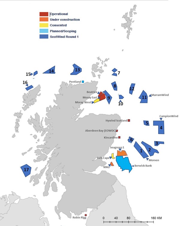 1 scotwind update