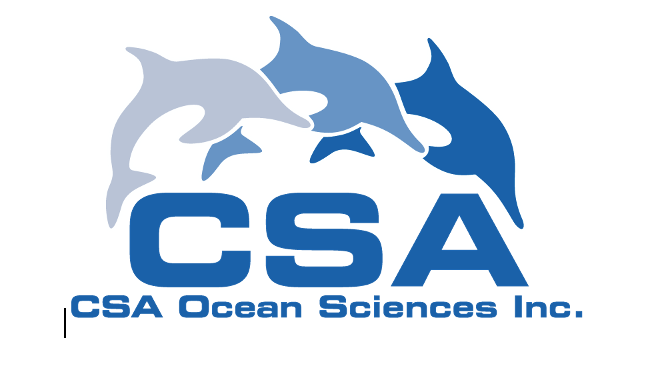 CSA logo