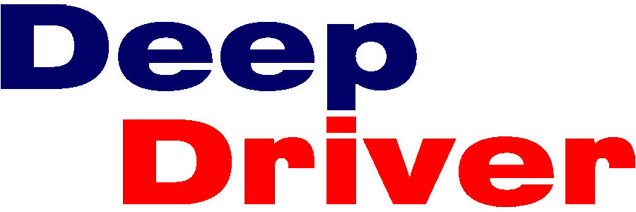 9 2DeepDriverLogo