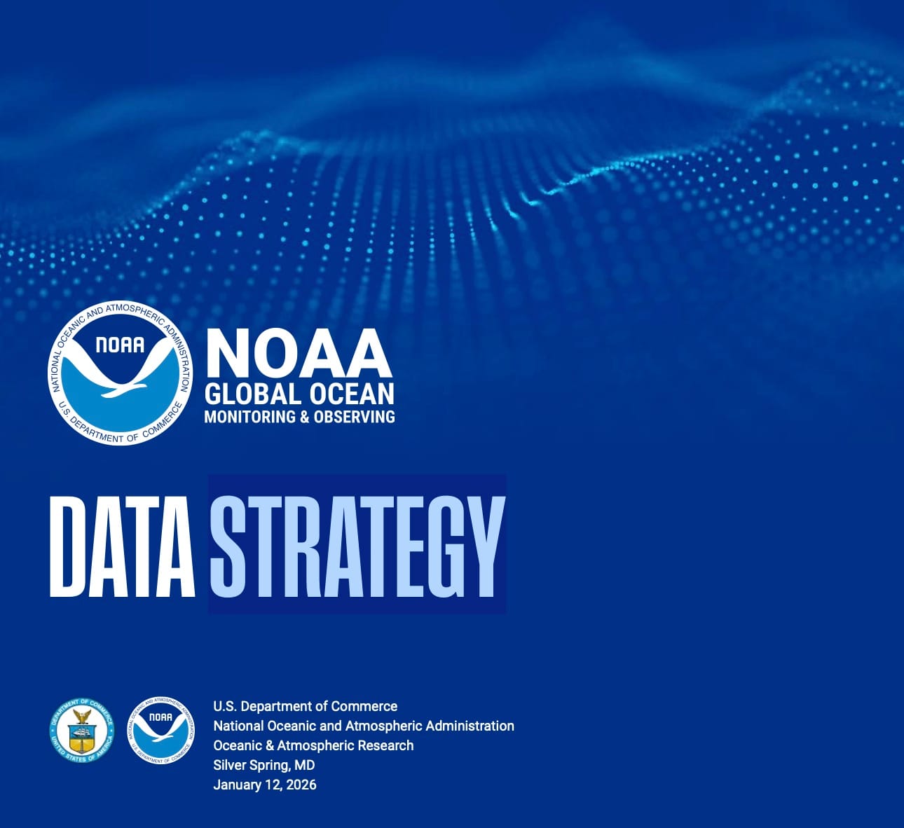 2 Data Strategy