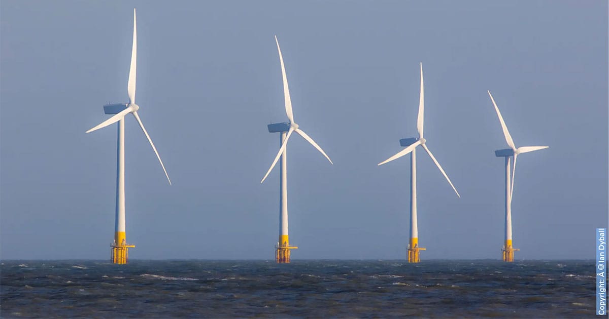 Offshore wind farm