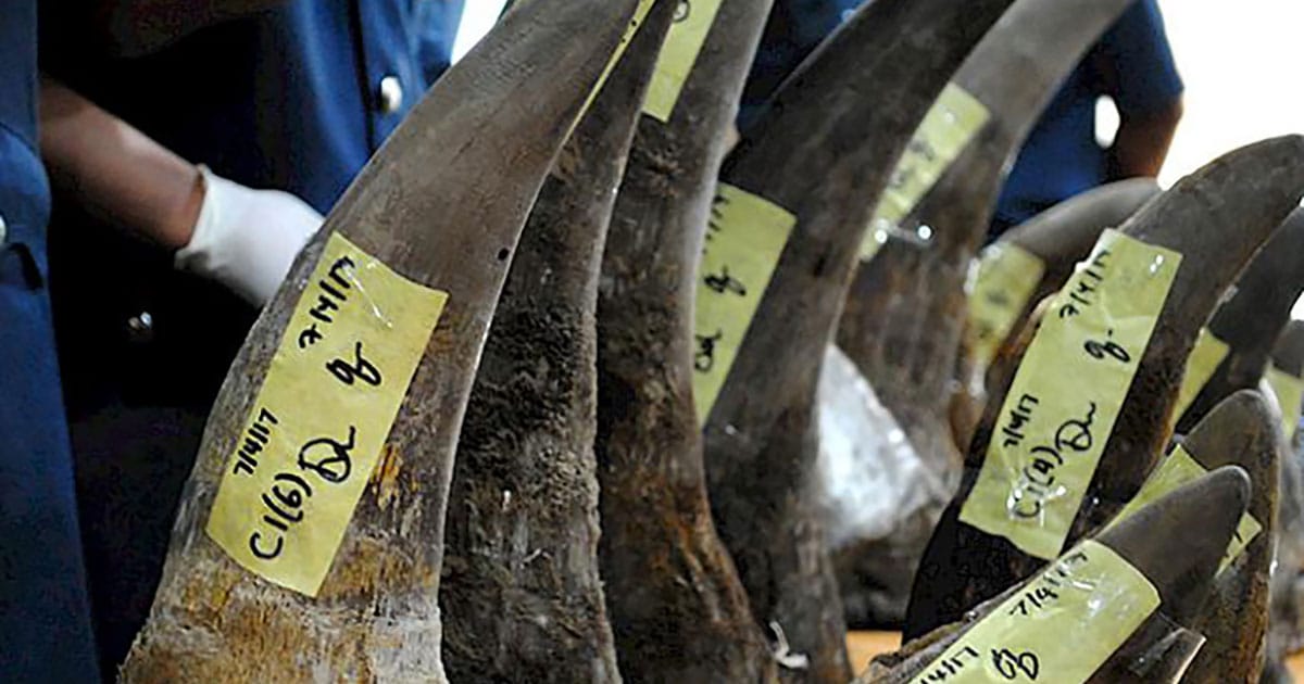 Illegal wildlife trafficking is a serious transnational crime that threatens biodiversity