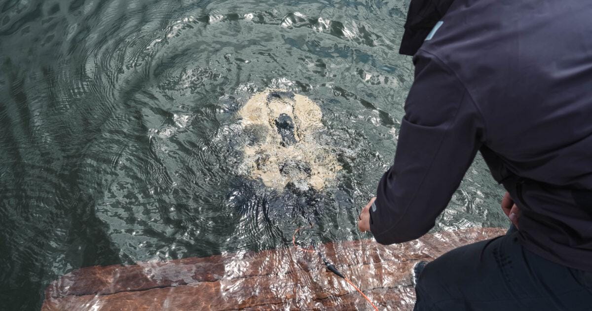 General Oceans underwater technology. (Image credit: General Oceans)
