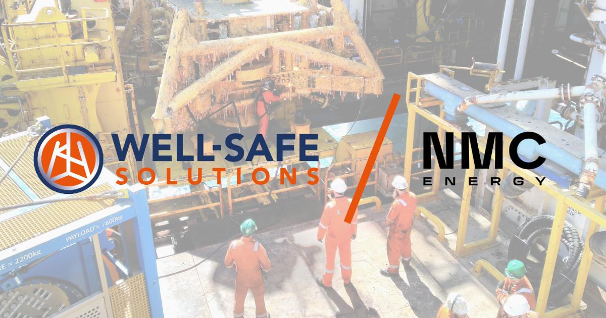 (Image credit: Well-Safe Solutions)